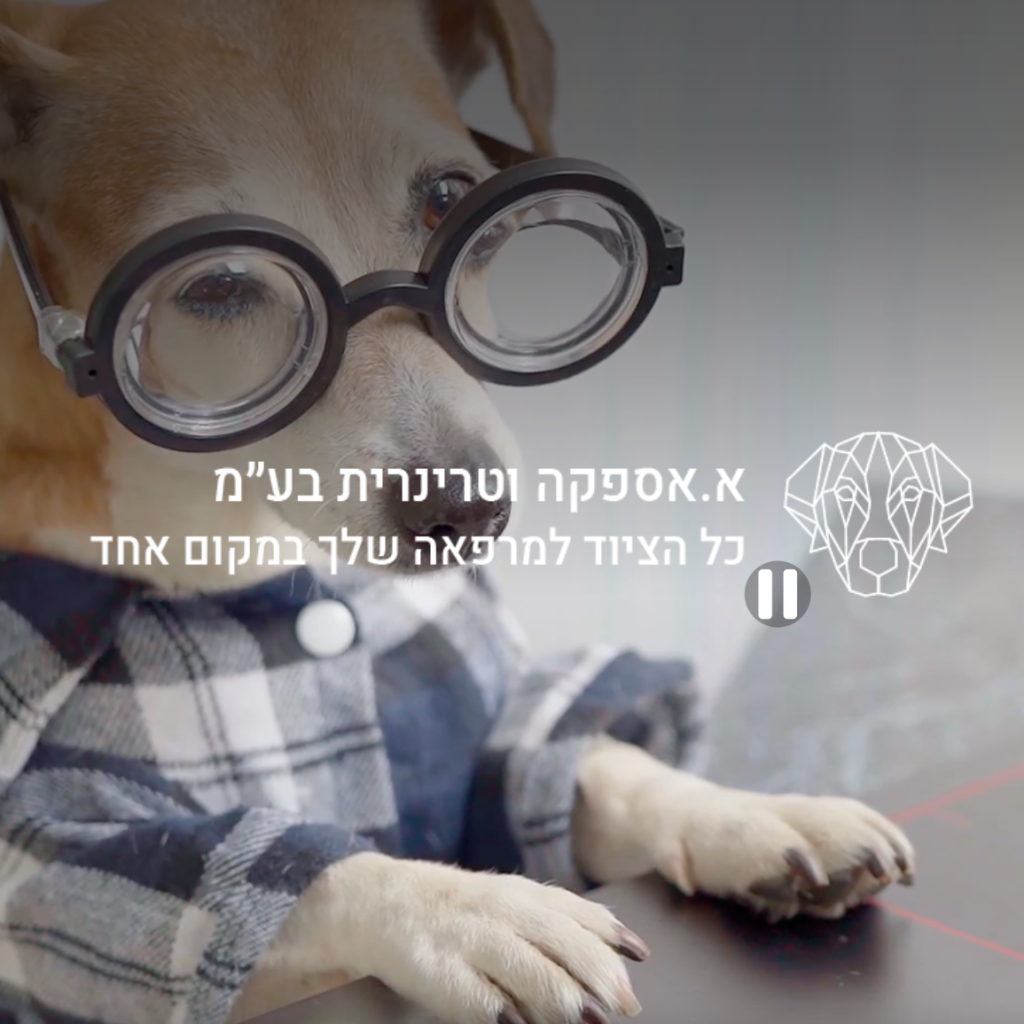 א.אספקה וטרינרית בע"מ